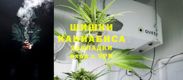 молекула духа Белокуриха