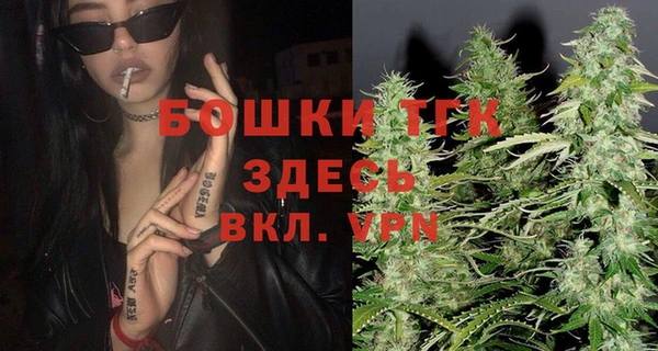 молекула духа Белокуриха
